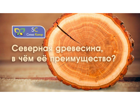 Чем так хороша северная древесина?